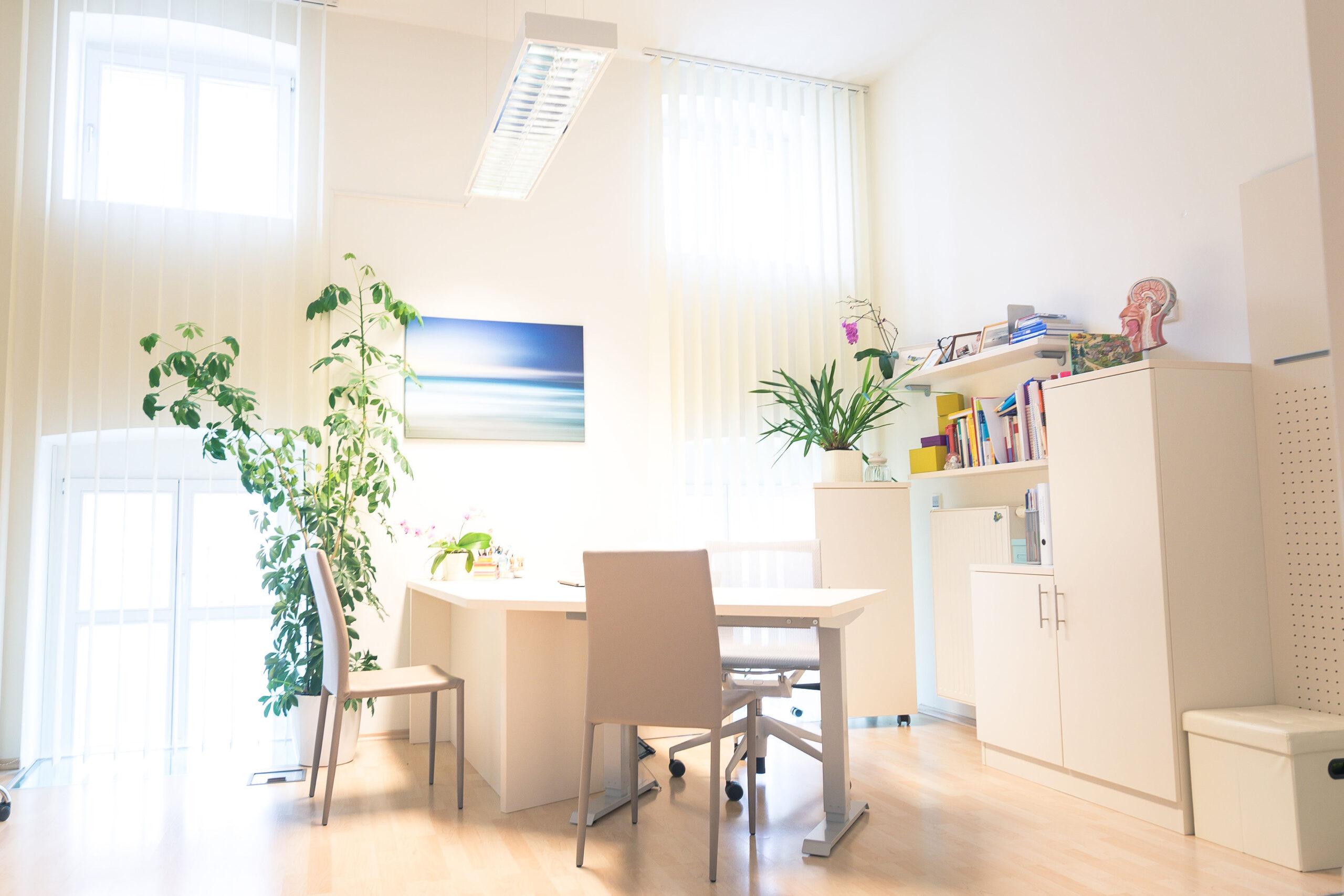 Helles Büro mit weißen Möbeln, Pflanzen und einem großen Fenster.